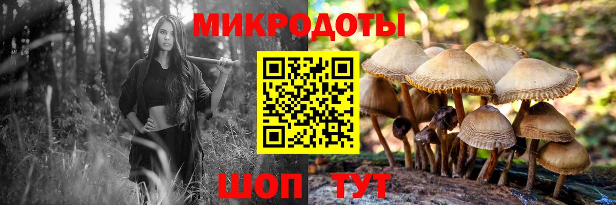 Людиново  Галлюциногенные грибы MAGIC MUSHROOMS  Вход с VPN 